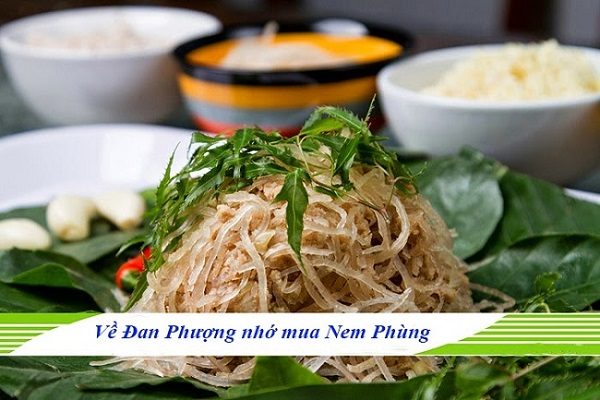 nem-phung-dan-phuong-h1 - Copy (2)
