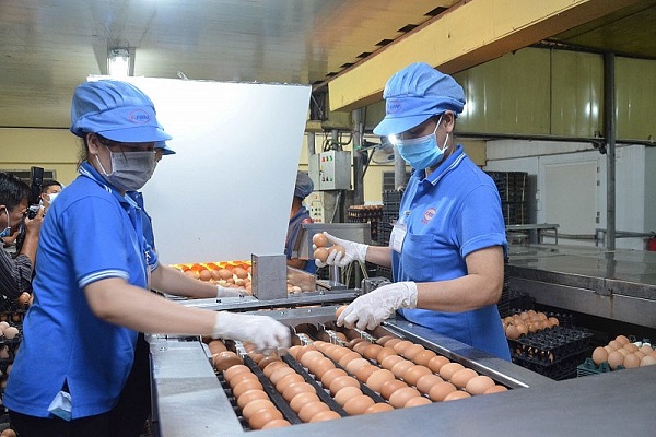 TP. Hồ Chí Minh: Sát Tết, thịt heo và trứng gia cầm giảm giá mạnh