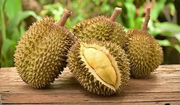 Xuất khẩu sầu riêng: Tăng tốc để giữ thị trường