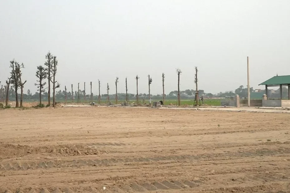 Bất động sản phân hóa mạnh, phân khúc nào là “điểm sáng”?