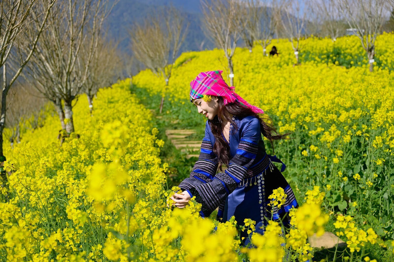 Chiêm ngưỡng những thiên đường hoa đẹp nhất dịp 8/3