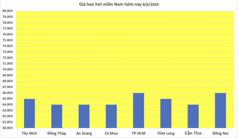 Giá heo hơi hôm nay 8/6/2026: Duy trì ổn định