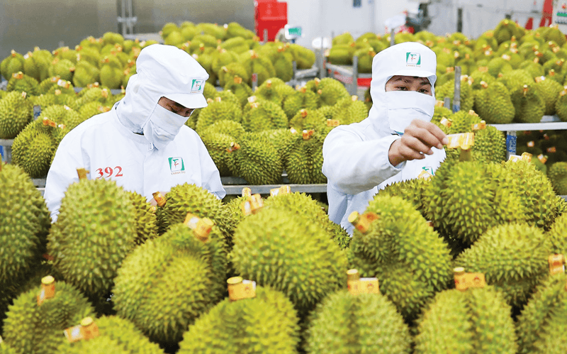 Bí quyết đưa nông sản Việt vào thị trường Ấn Độ