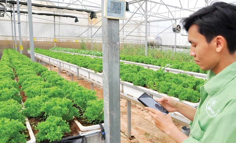 Thẩm thấu vào các ngành, kinh tế số tạo tăng trưởng đột phá