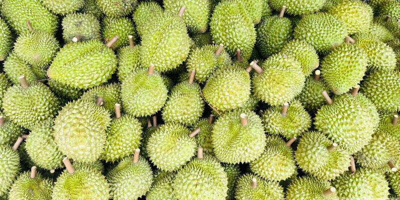 Ấn Độ chính thức mở cửa thị trường cho quả sầu riêng tươi của Việt Nam