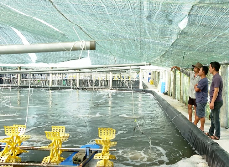Đổi mới công nghệ, nâng giá trị ngành thủy sản