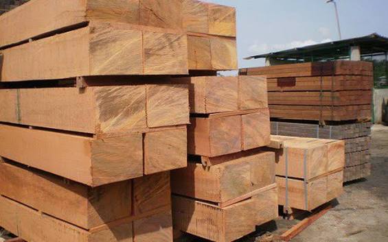 UKVFTA thúc đẩy hệ sinh thái phát triển bền vững từ ngành gỗ