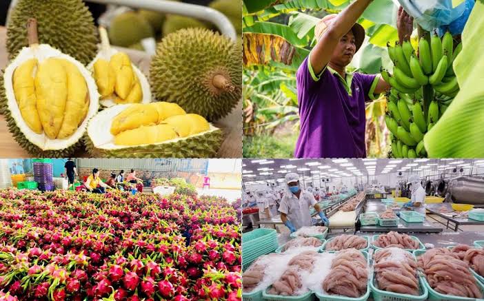 Tiếp sức cho nông sản Việt vào thị trường Trung Quốc
