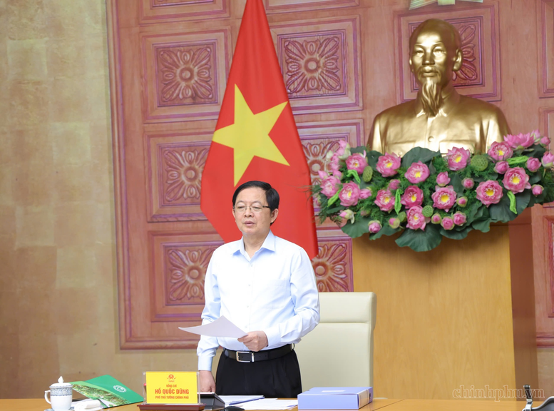 Quy hoạch lâm nghiệp phải thống nhất, sát thực tiễn, bảo đảm sinh kế người dân