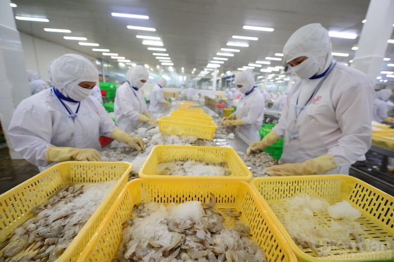 Đón cơ hội từ VEFTA, doanh nghiệp chủ động nhập cuộc