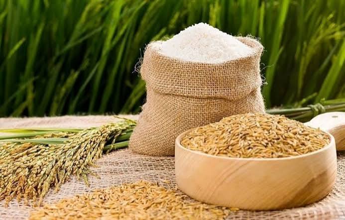 Giá lúa gạo hôm nay ngày 2/10/2026: Lúa tươi biến động trái chiều
