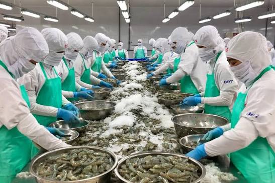 Xuất khẩu nông, lâm, thủy sản: Đà tăng từ rau quả, thủy sản